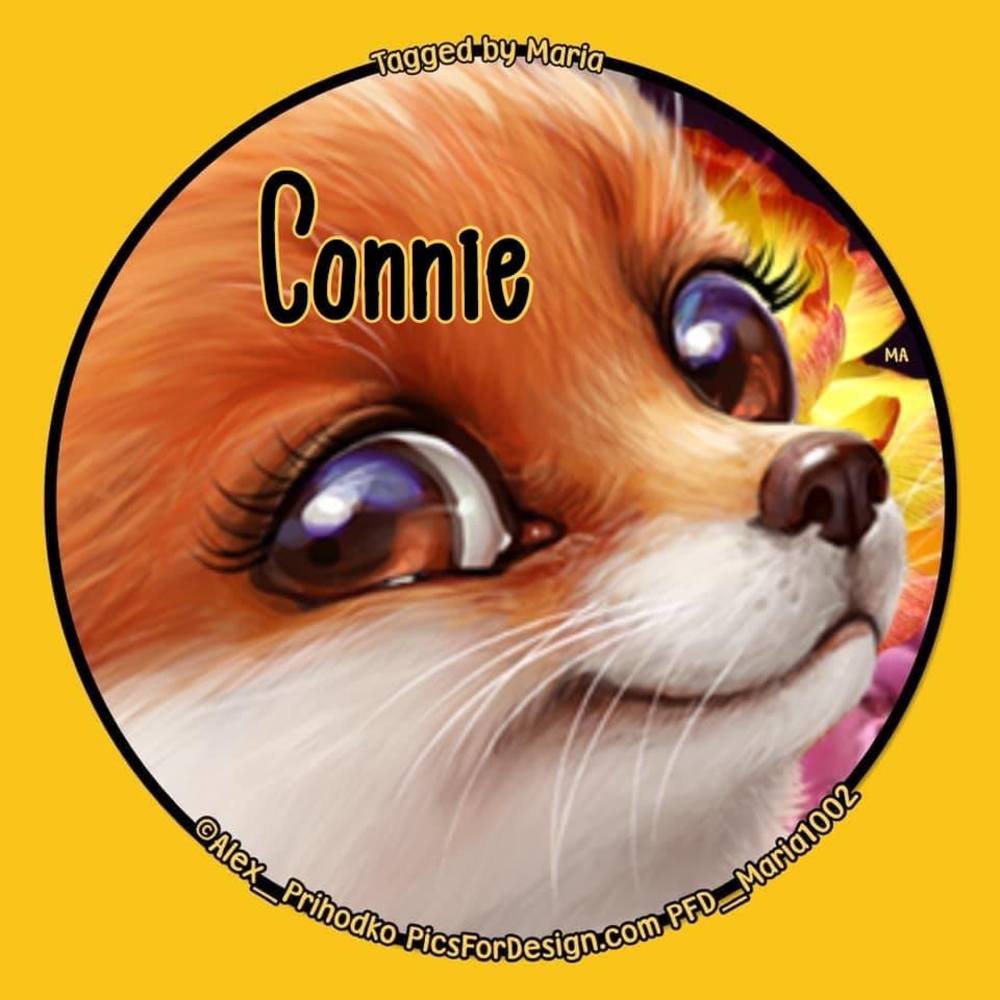 Meet your Posher, Connie